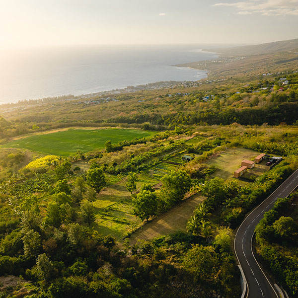 The Akoya’s Farm: A Culinary Odyssey in the Heart of Organic Agriculture