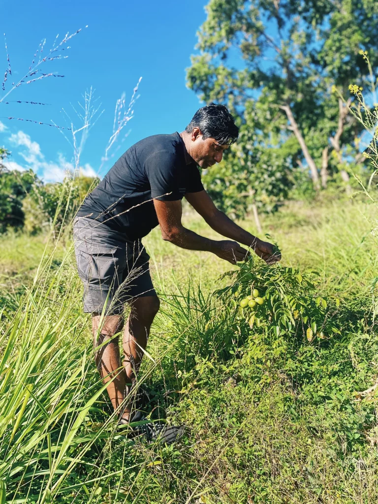 Cultivateur de la ferme Akoya