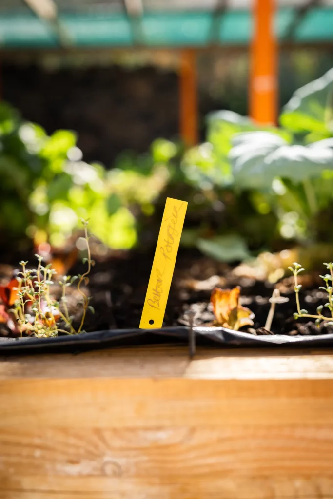 Aromates de la ferme Akoya