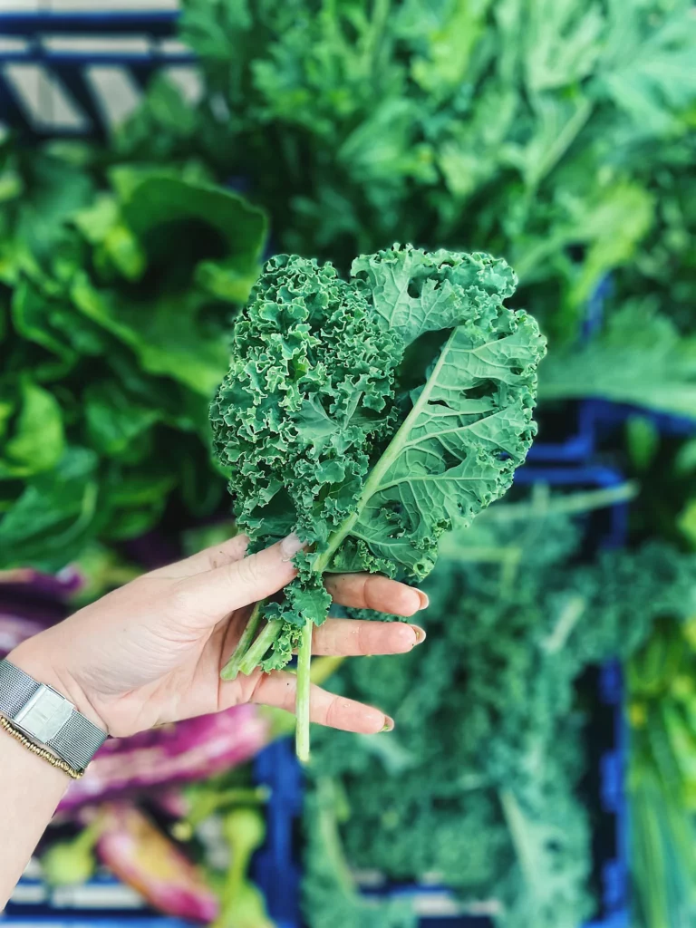 Légume de la ferme Akoya