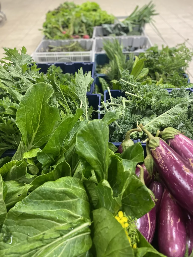 Panier de légumes de la ferme Akoya
