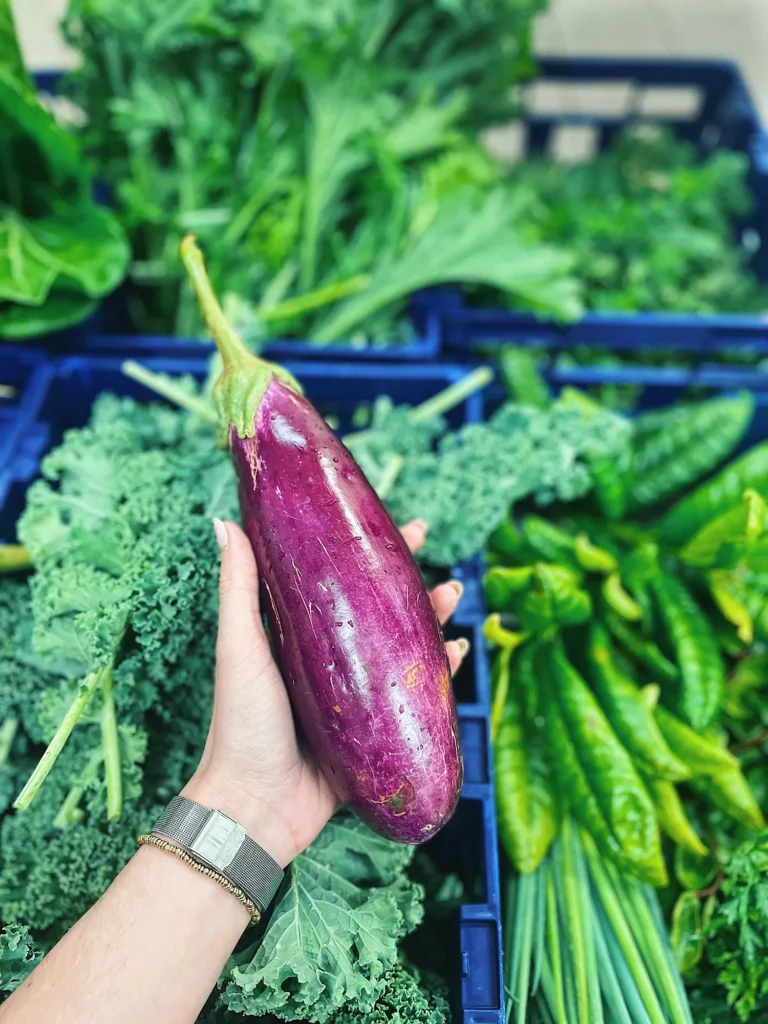 Panier de légumes de la ferme Akoya