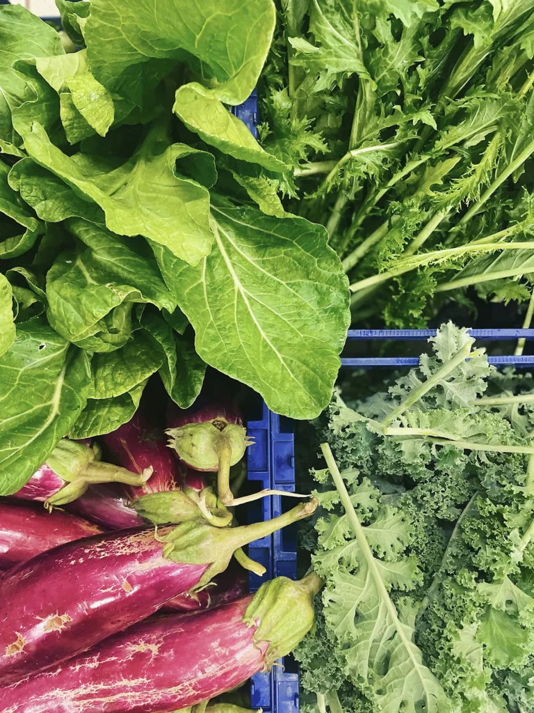 Panier de légumes de la ferme Akoya