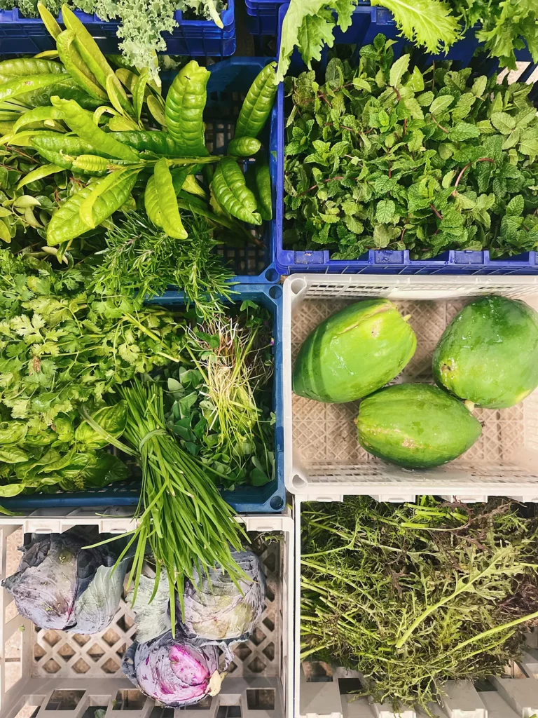 Panier de légumes de la ferme Akoya